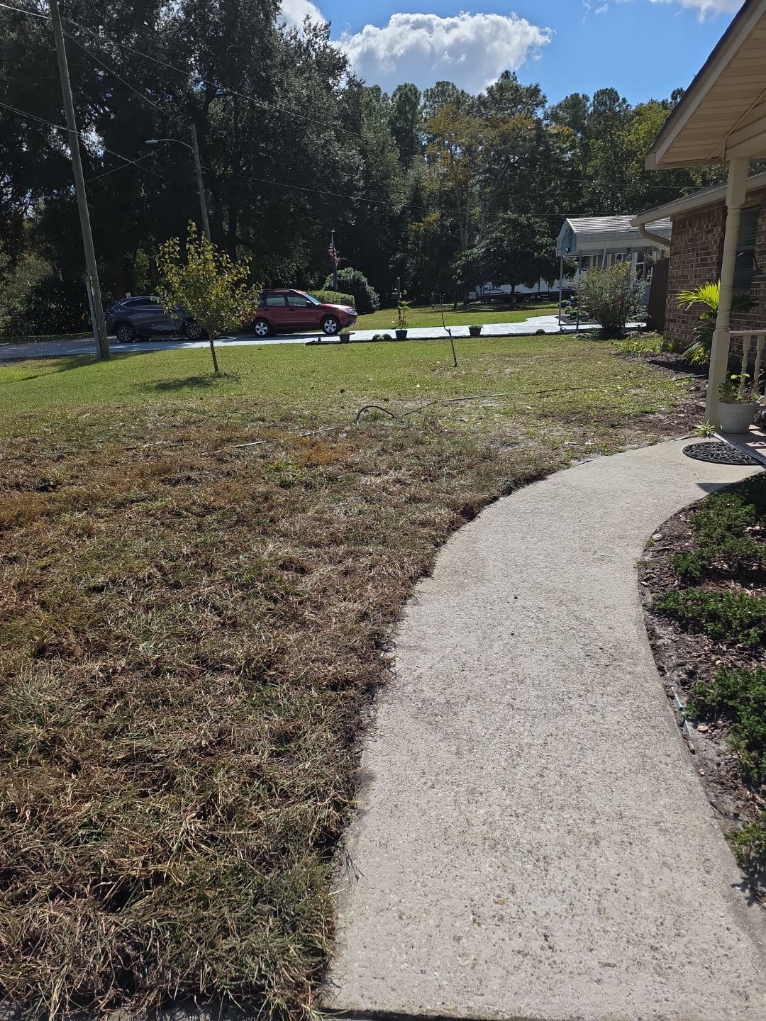 Tree Removal & Sod Install | Residential by ProGreen Services