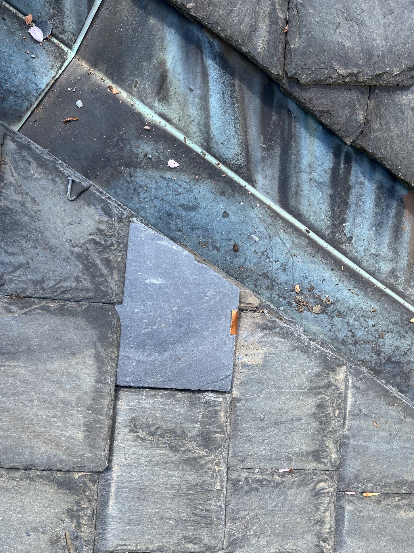 Arlington: Buckingham Slate and Carlisle Syntec TPO Roof by RM Banning, Inc.