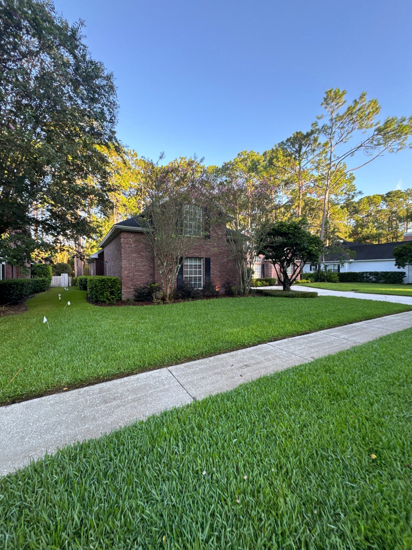 Residential | Shrub Trimming by ProGreen Services