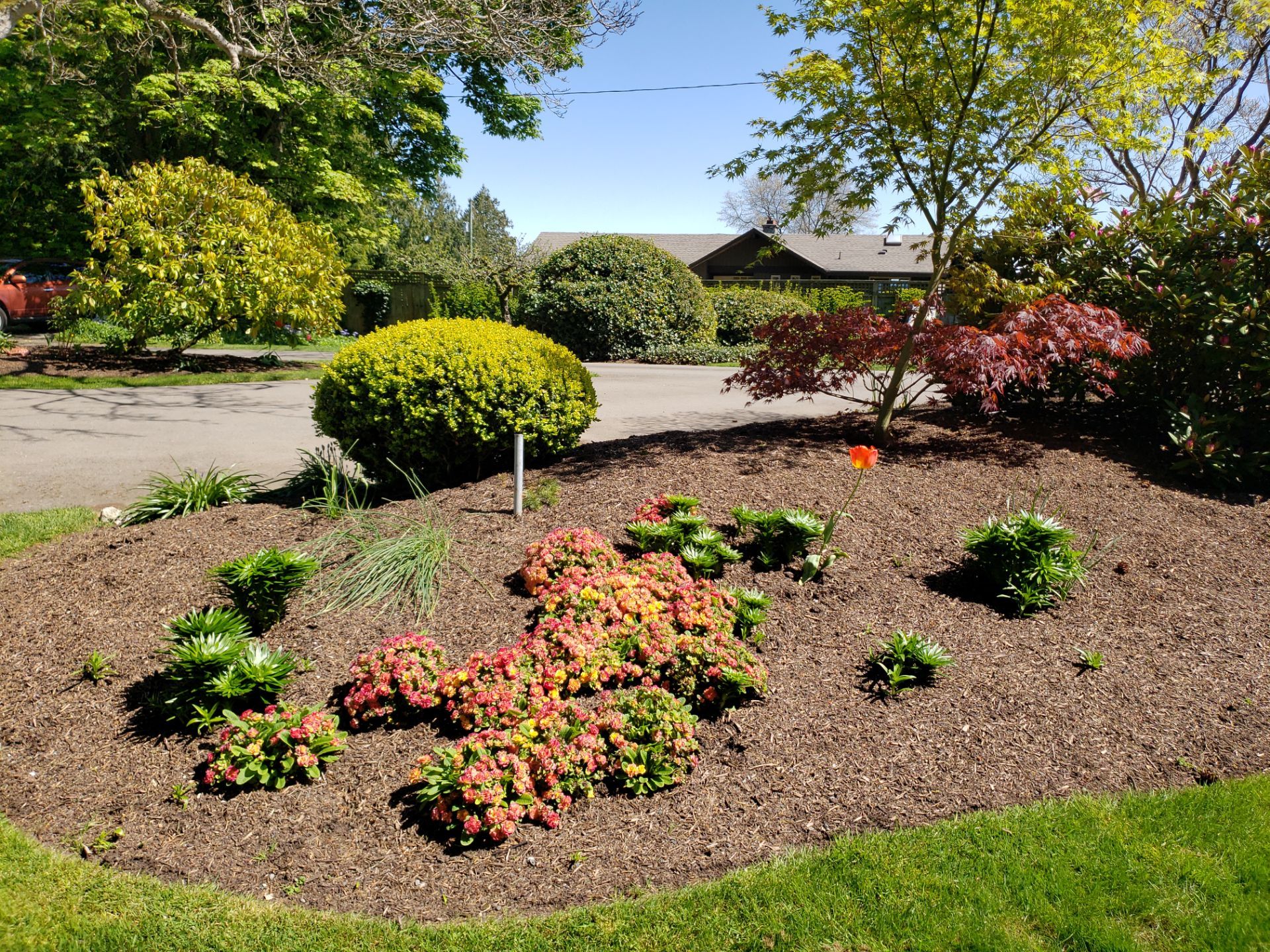 Puppy Love Farm by Habanero Garden and Exterior Care