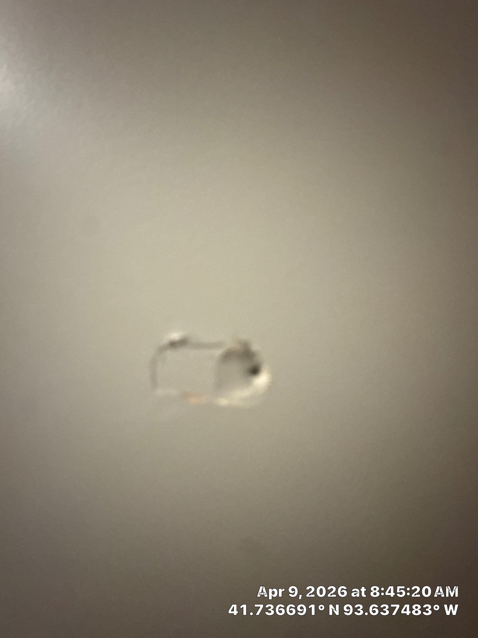 Repaint Accent Walls with Color Change and drywall repairs by Midwest Paint LLC