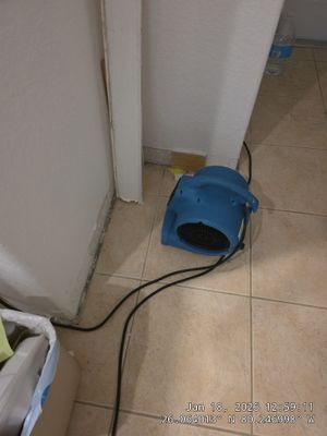 Project in Davie, FL