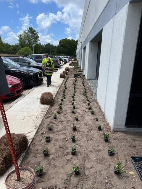 Executive Park | Various Projects by ProGreen Services