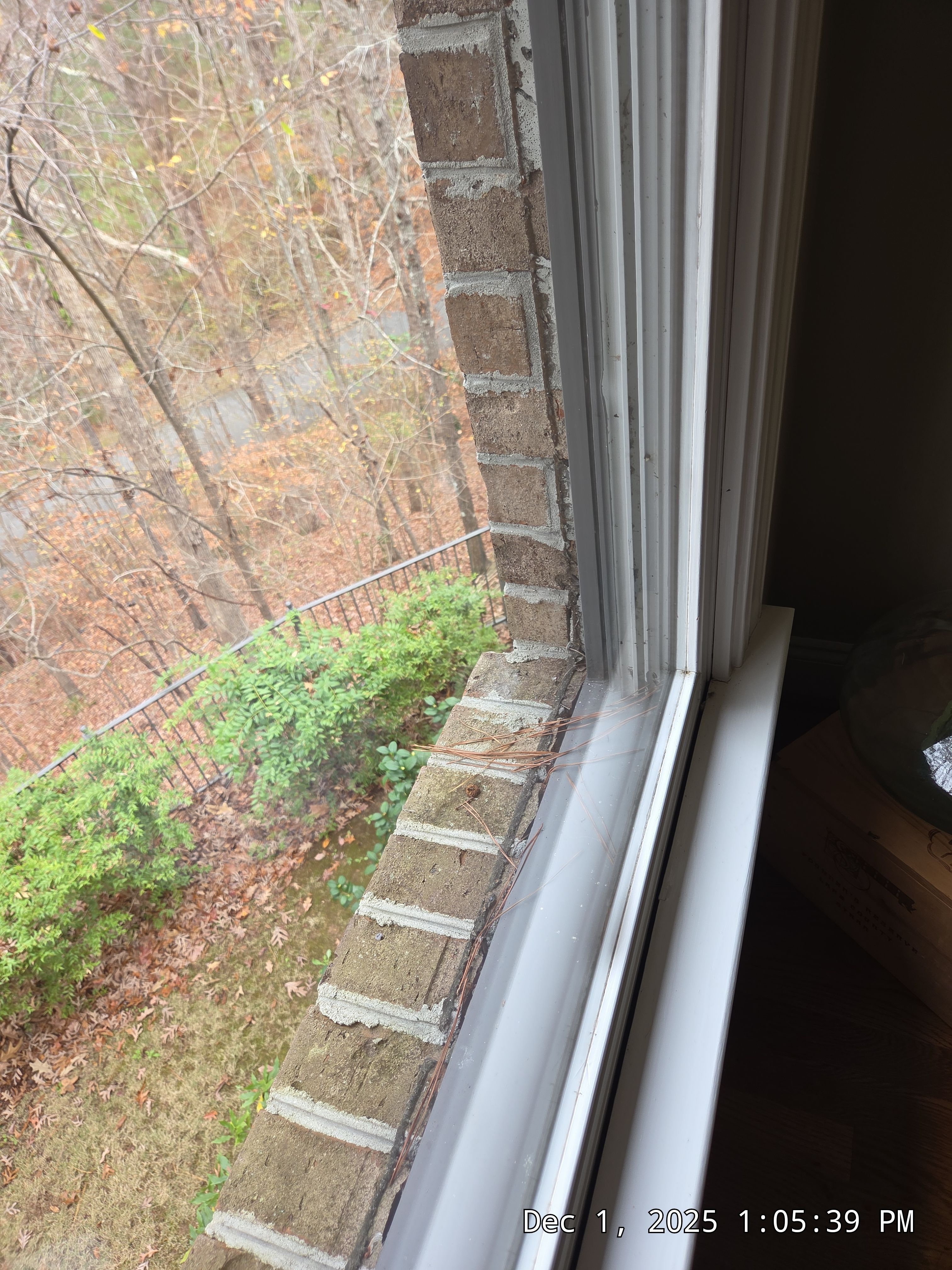 Lewis Project in Hoover by The Window Source