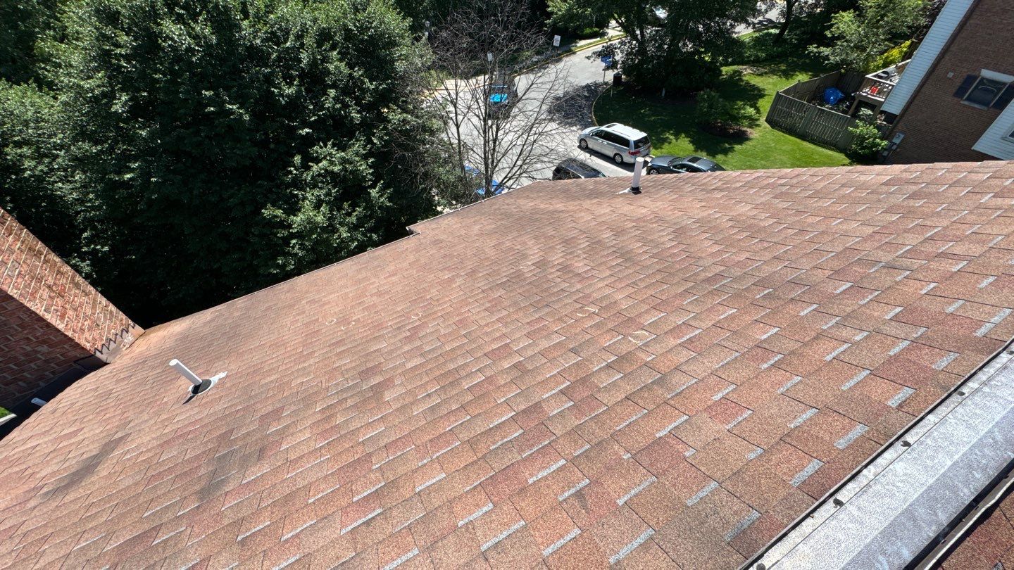 Alexandria: Roof Replacement with CertainTeed Landmark Pro in Max Def Burnt Sienna by RM Banning, Inc.
