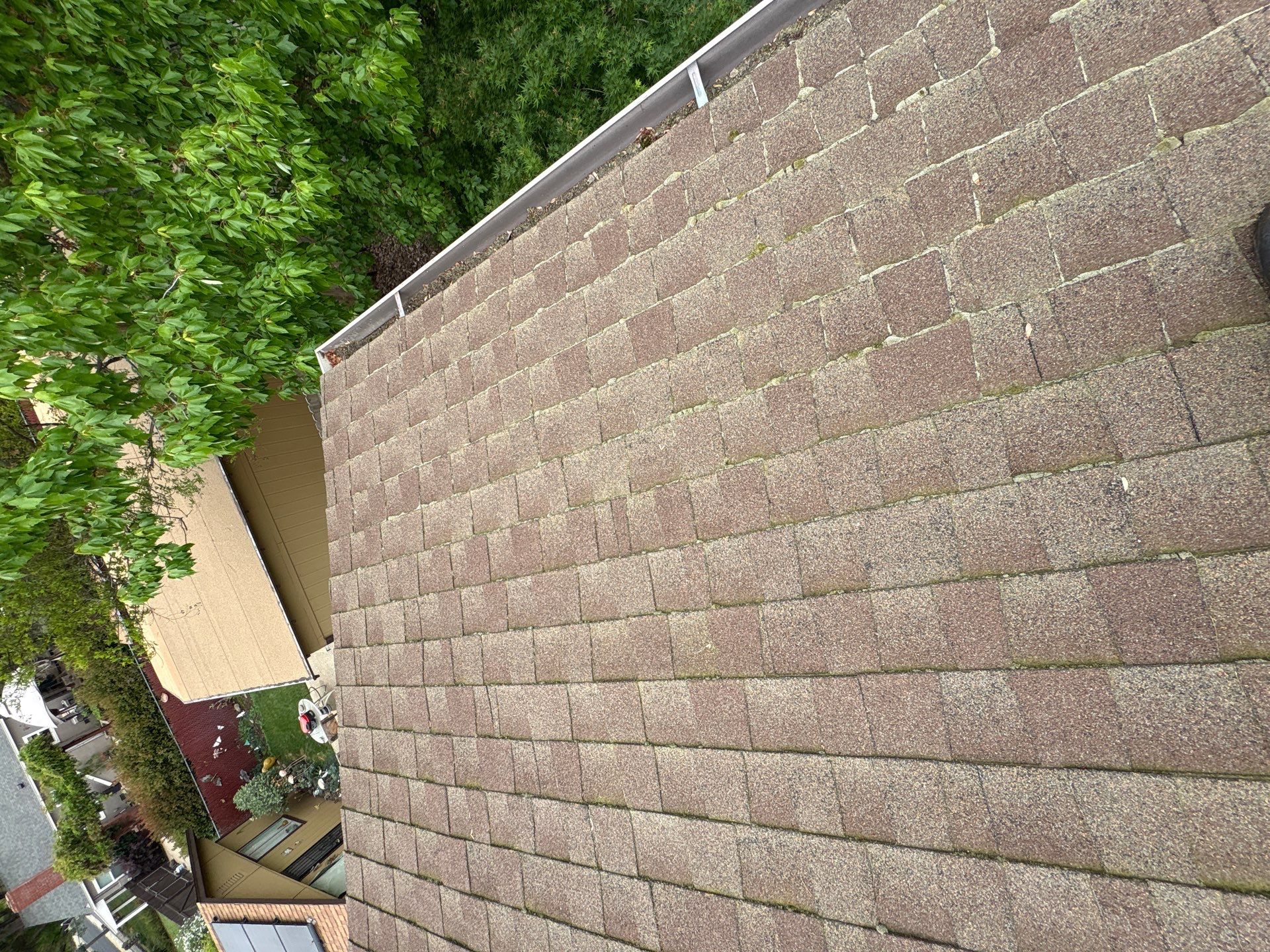 Roof Rejuvenation using Roof Maxx Treatment by Roof Maxx of Folsom