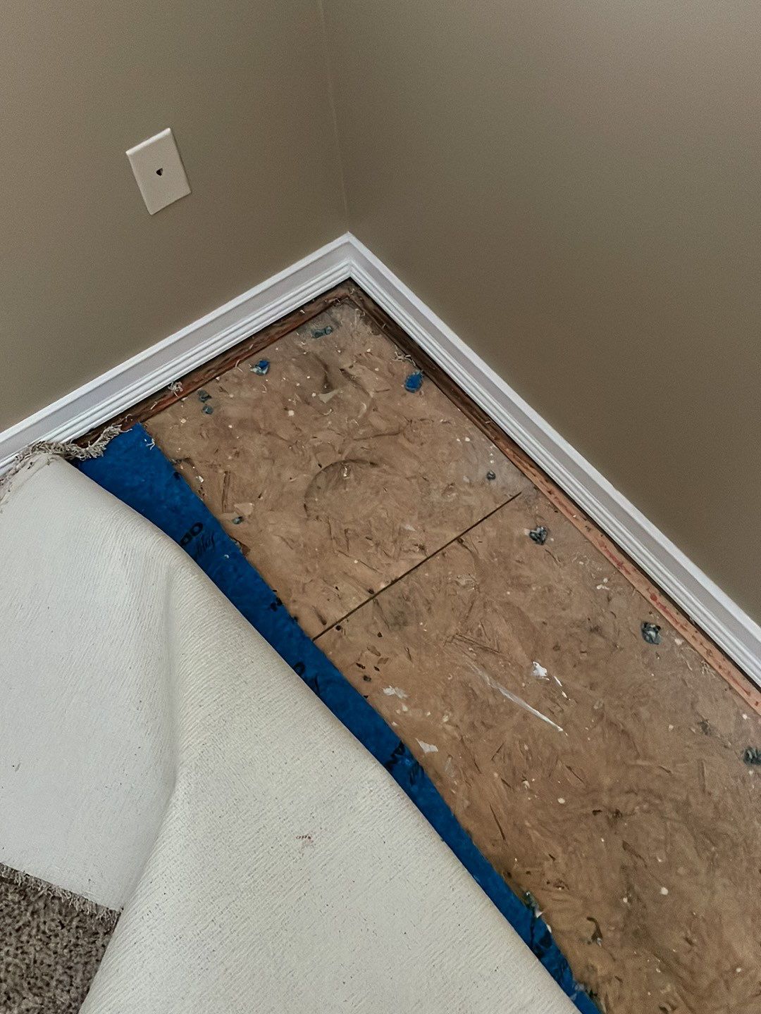 Project in Novi by EzDry Water Mitigation & Property Restoration