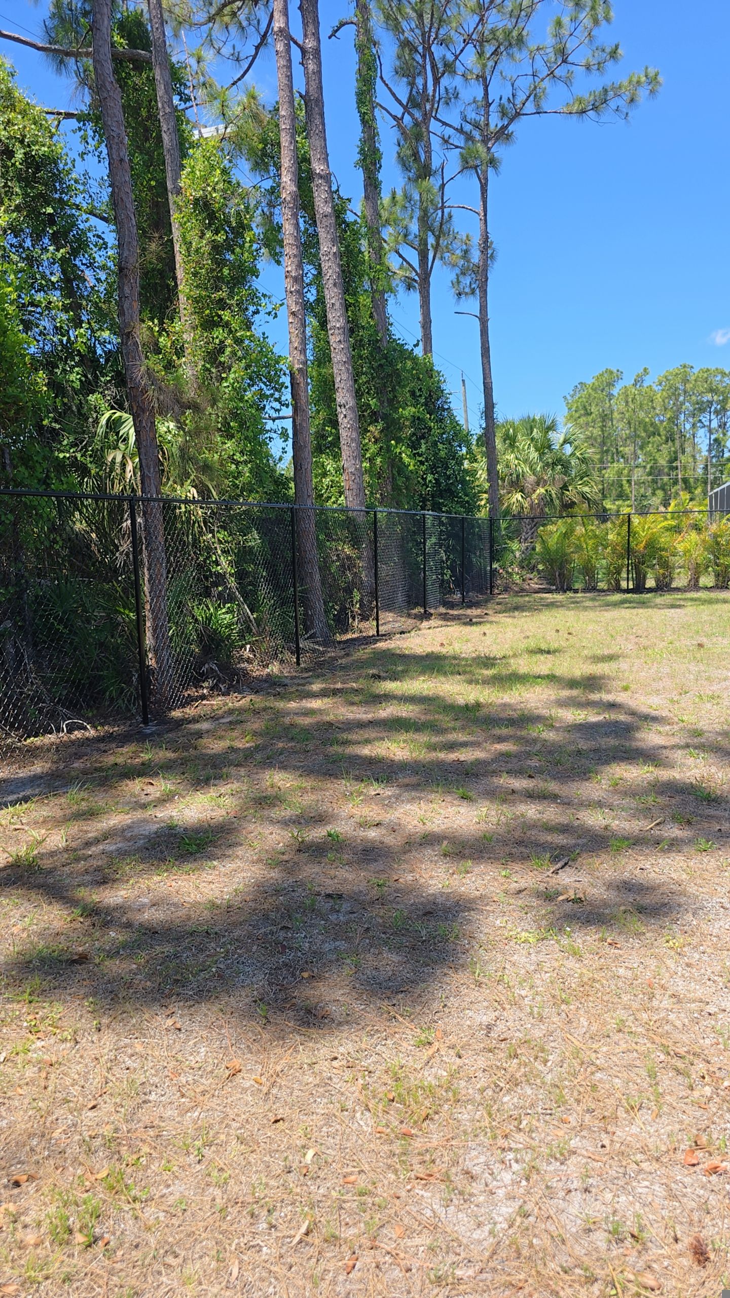 Black Chain Link Fence in North Port by True Fence LLC