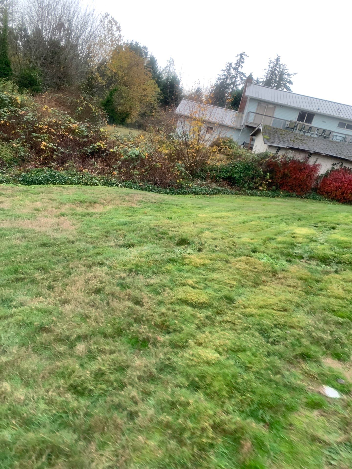 Sport Court |  Port Orchard by Jireh Asphalt & Concrete Inc 