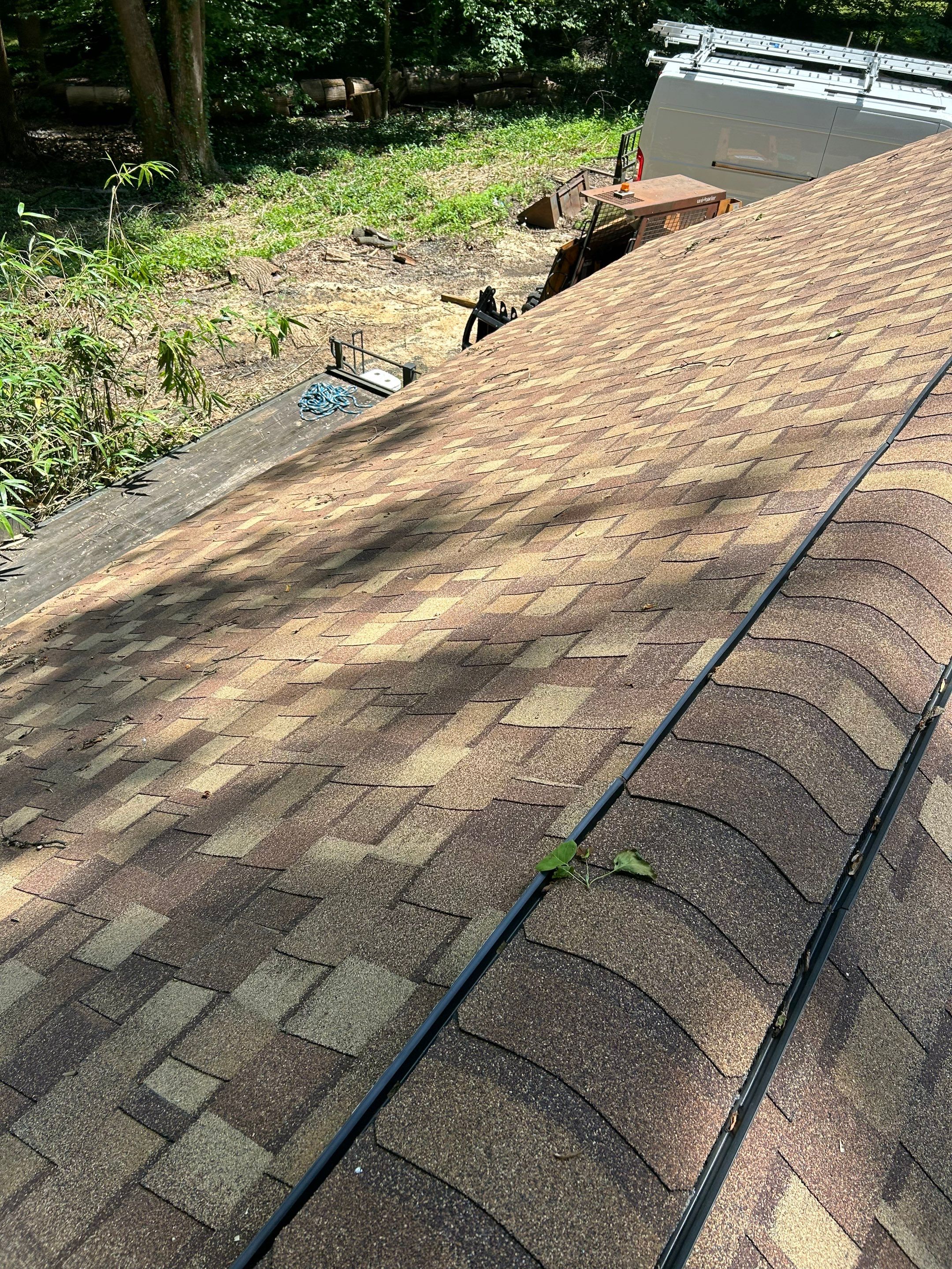 Annandale: Multi-Trade Tree Damage Restoration by RM Banning, Inc.