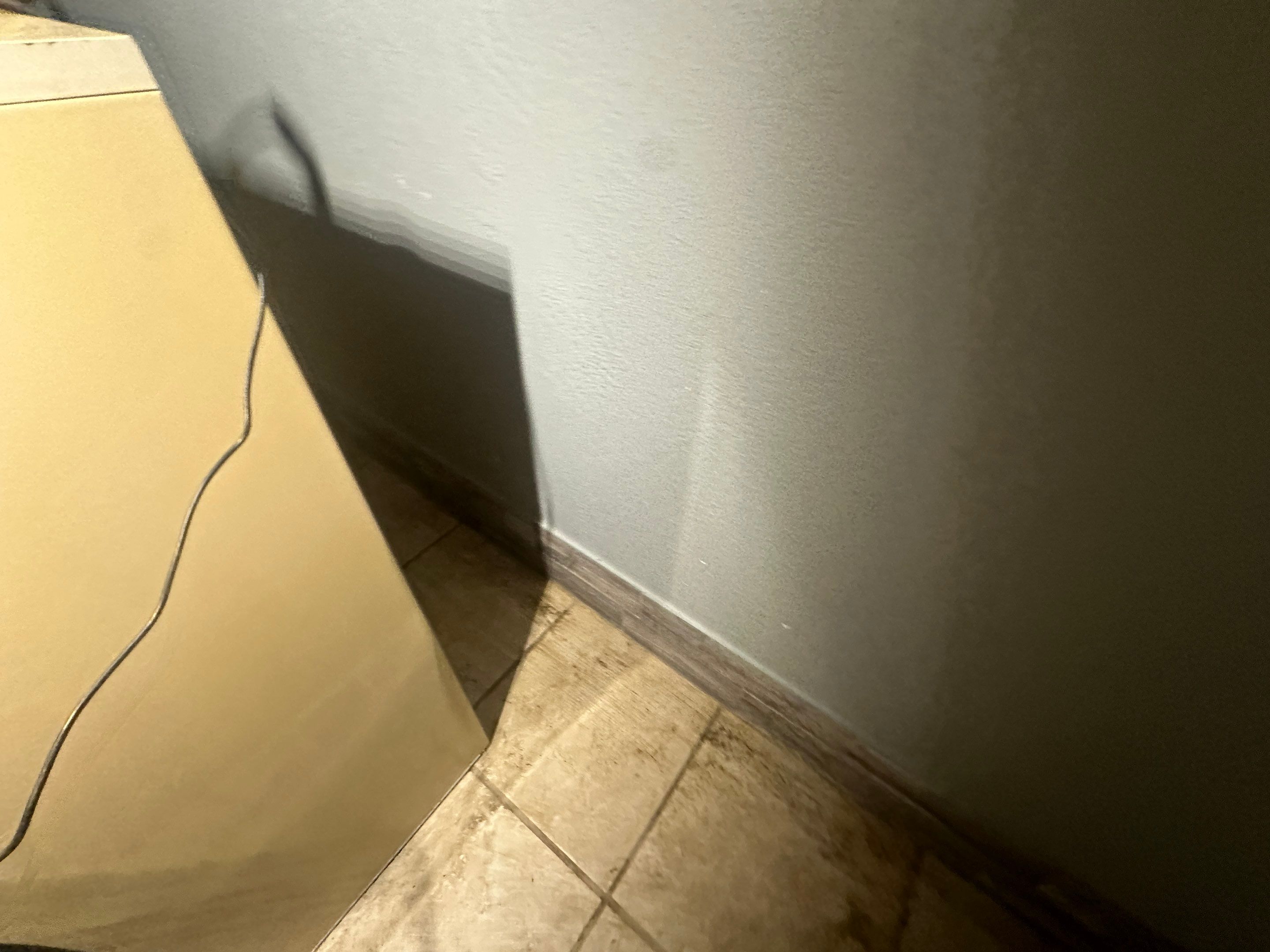 Water Damage Claim in Treasure Island by FLAPA & KeyStone