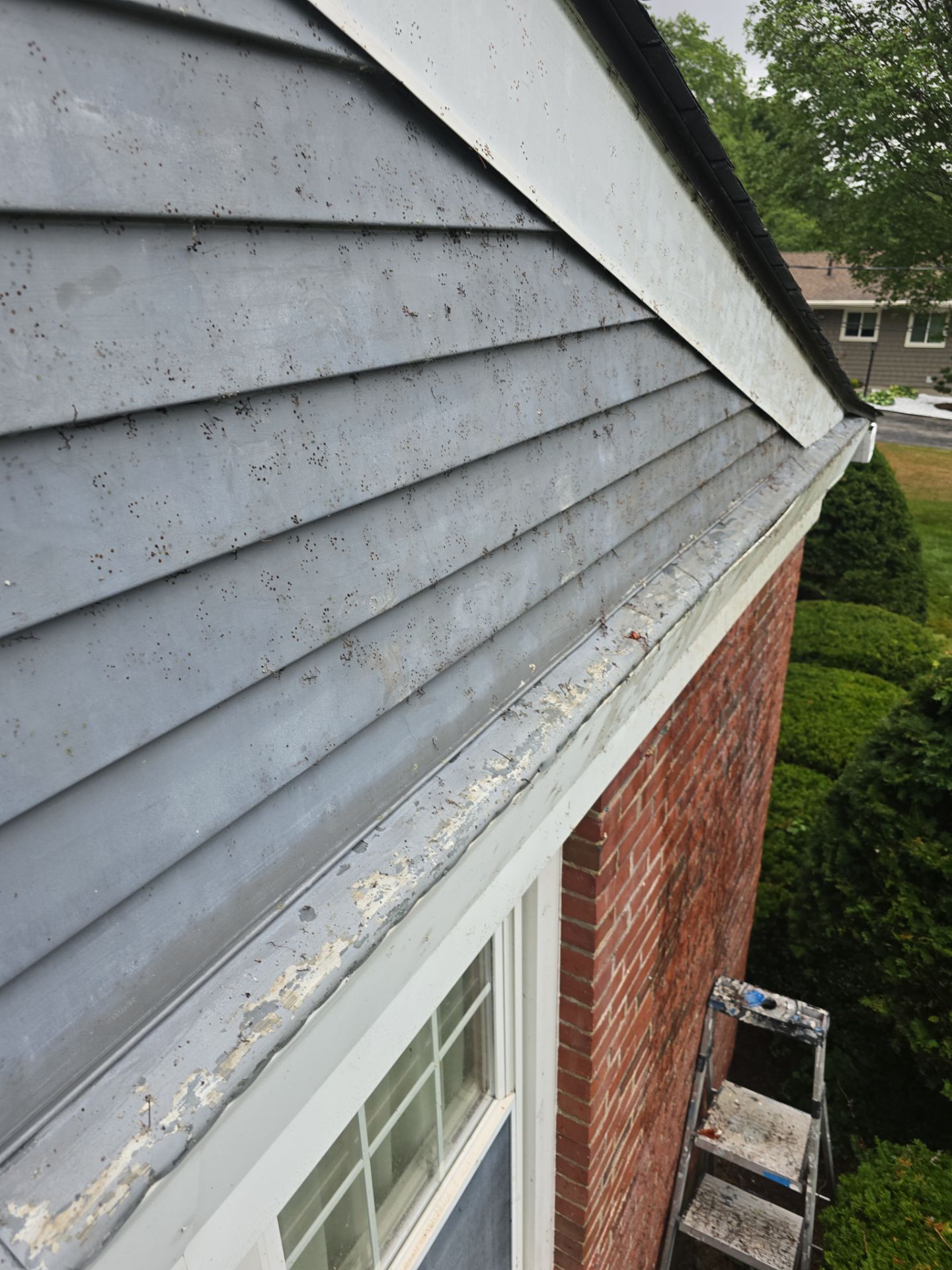 Exterior Painting using Benjamin Moore Regal Select by The Persnickety Painters