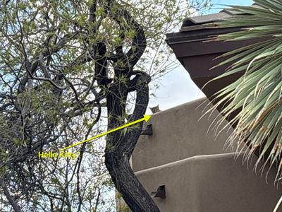 Residential Roofing Repair using Coating/Tile Roof underlayment