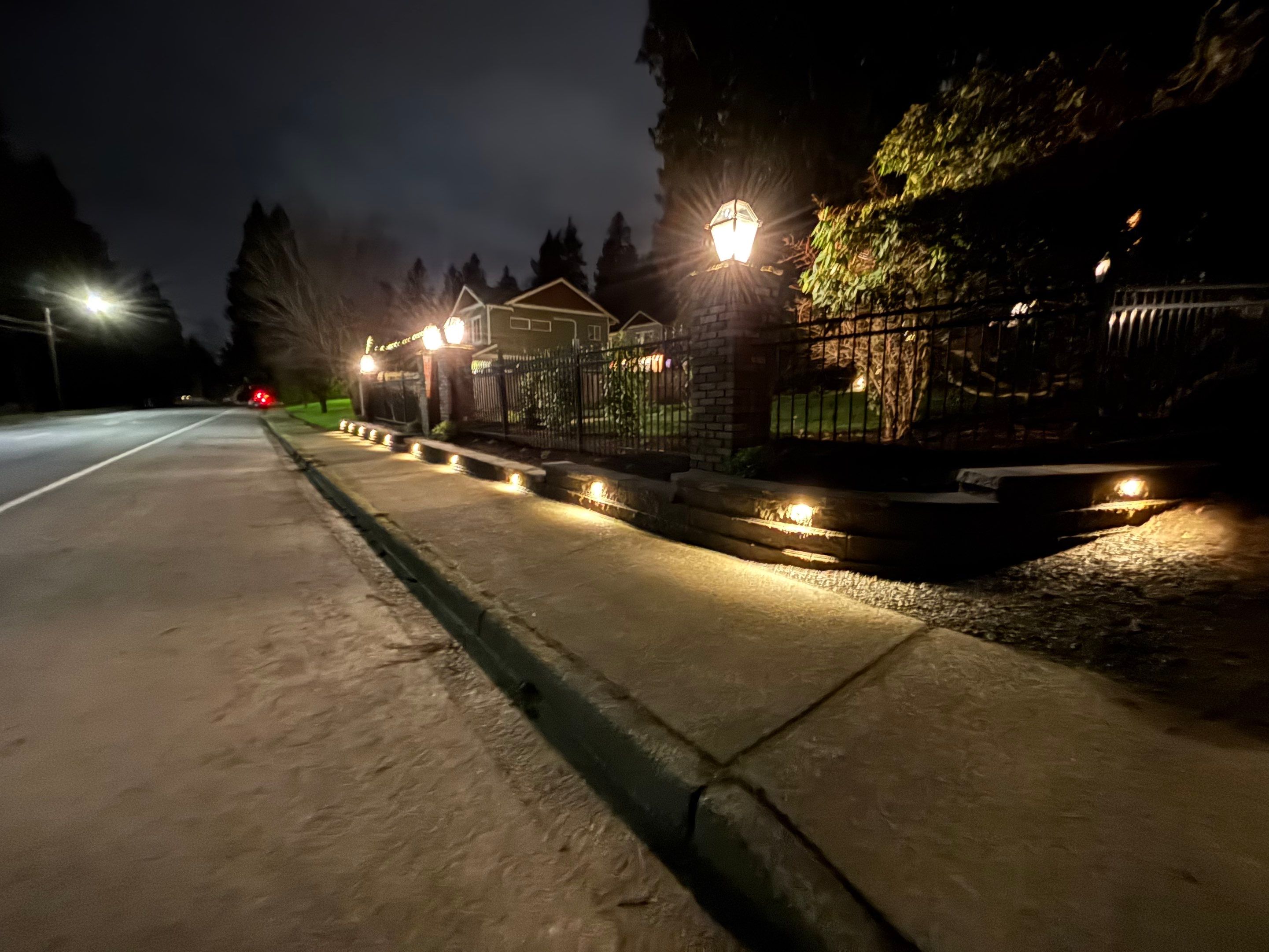 Maple Ave Renovation by Pacific Pine Landscape