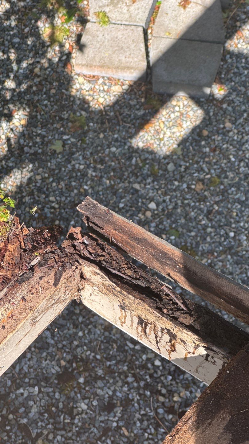 Project in Sammamish by Roofing Formula LLC