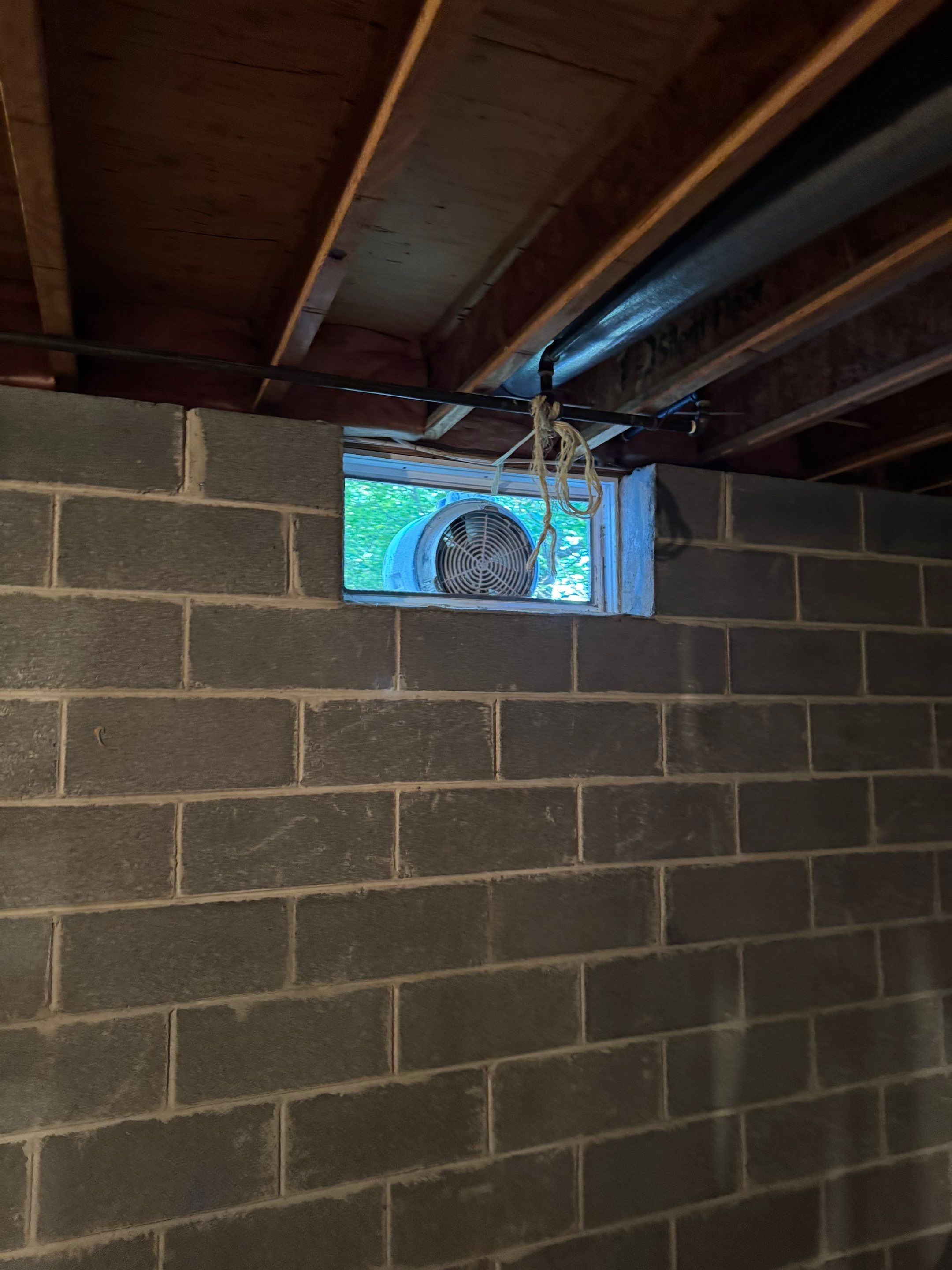 Interior French Drain West Orange, New Jersey by Pure Service Pro, LLC 