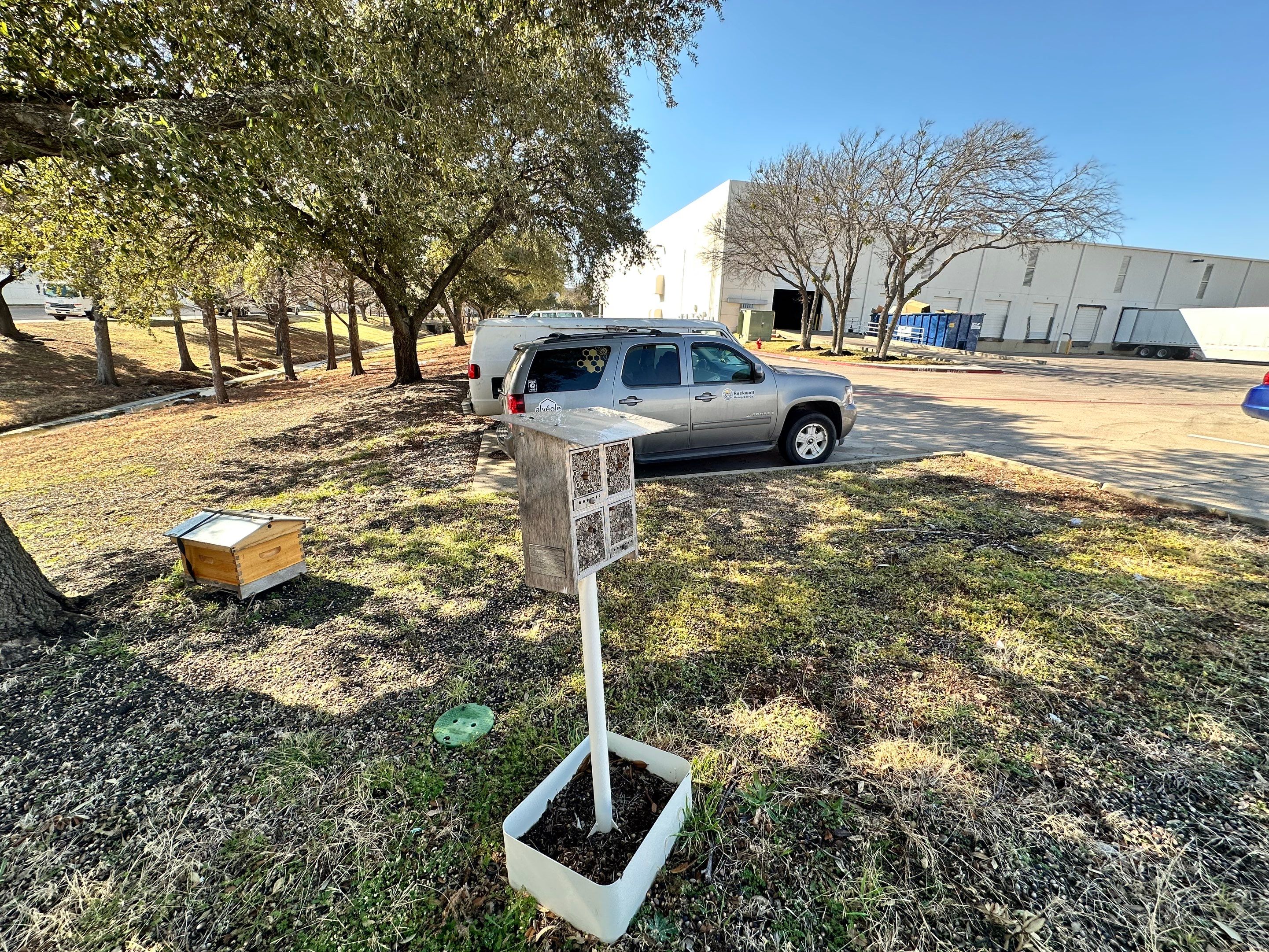 Flood Culvert Bees by Rockwall Honey Bee Company