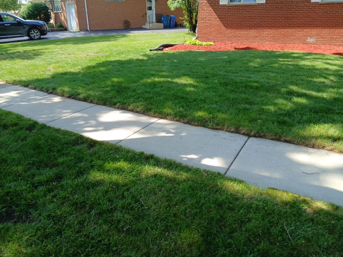 Justin M. - Mount Prospect, IL by A&N 