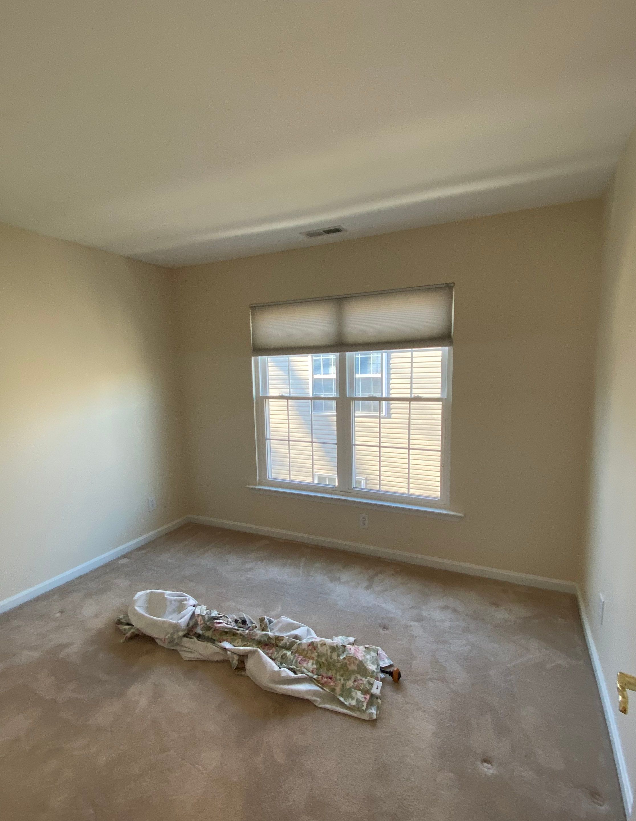 Whole Home Transformation by Davis Painting Llc 