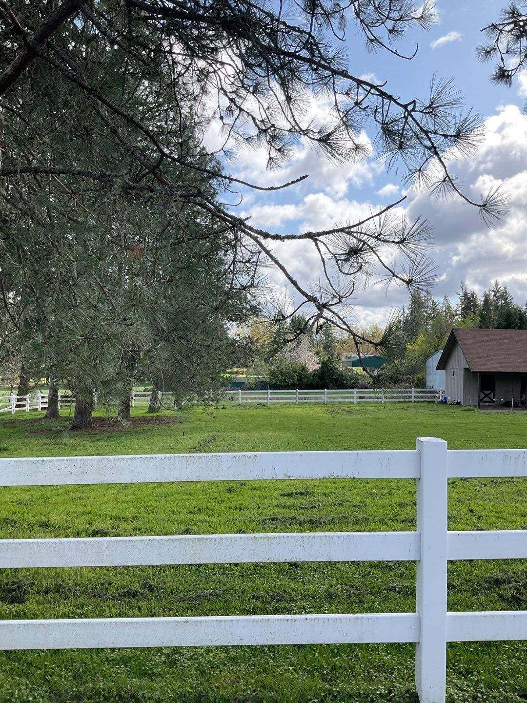 Vinyl Fence Wash using Surfactant by Willamette Outdoor Wash LLC