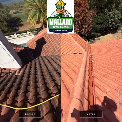 Tile Roof Cleaning