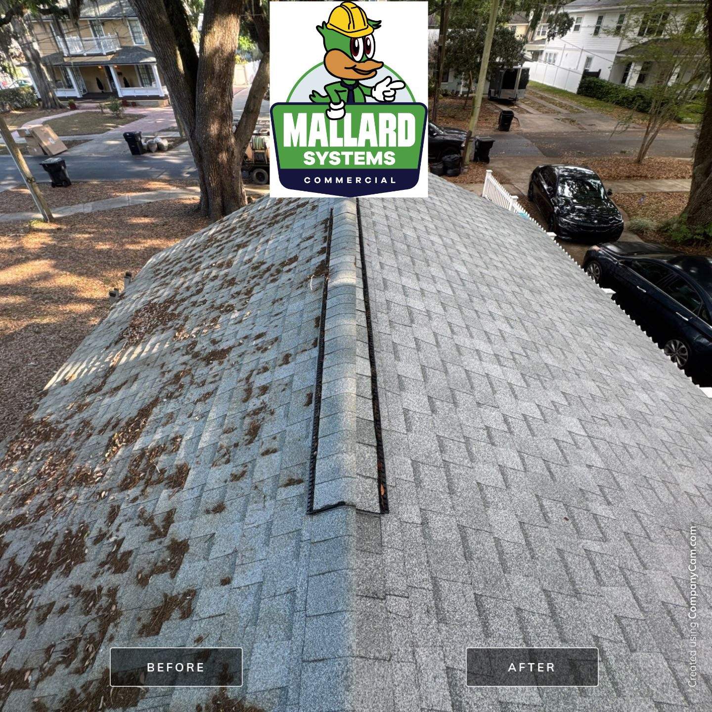 Shingle Roof Debris Removal and Cleaning by Mallard Systems