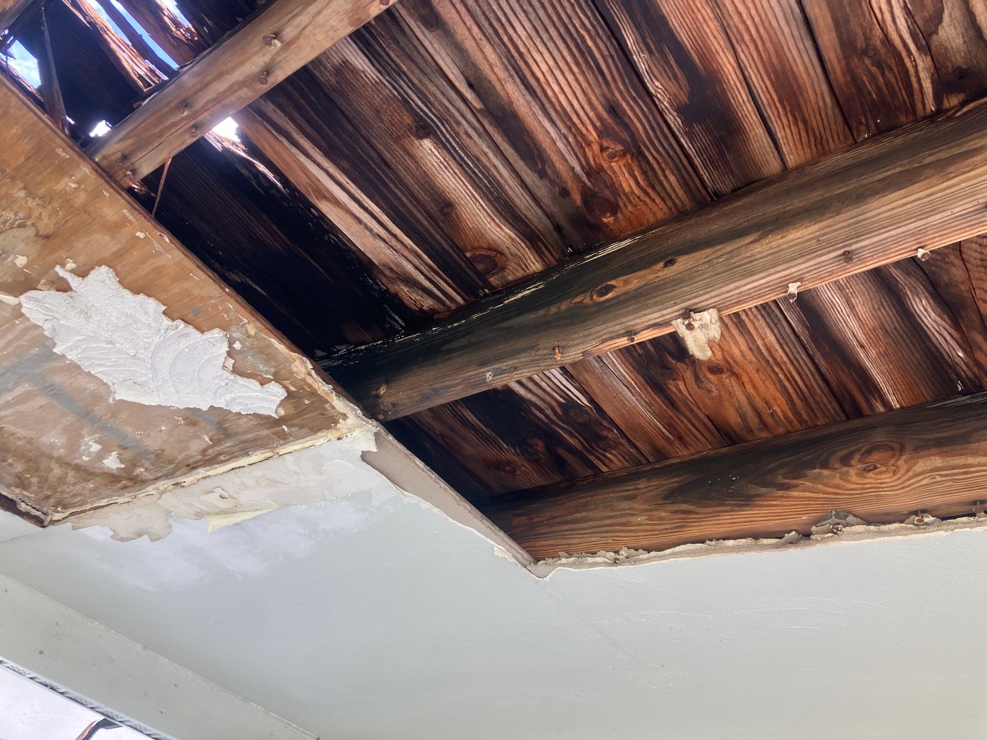 Project in Pinellas Park 33781 by Mitchell Roofing Company LLC