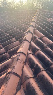 TPO Membrane and Commercial Roof Installation in Miami