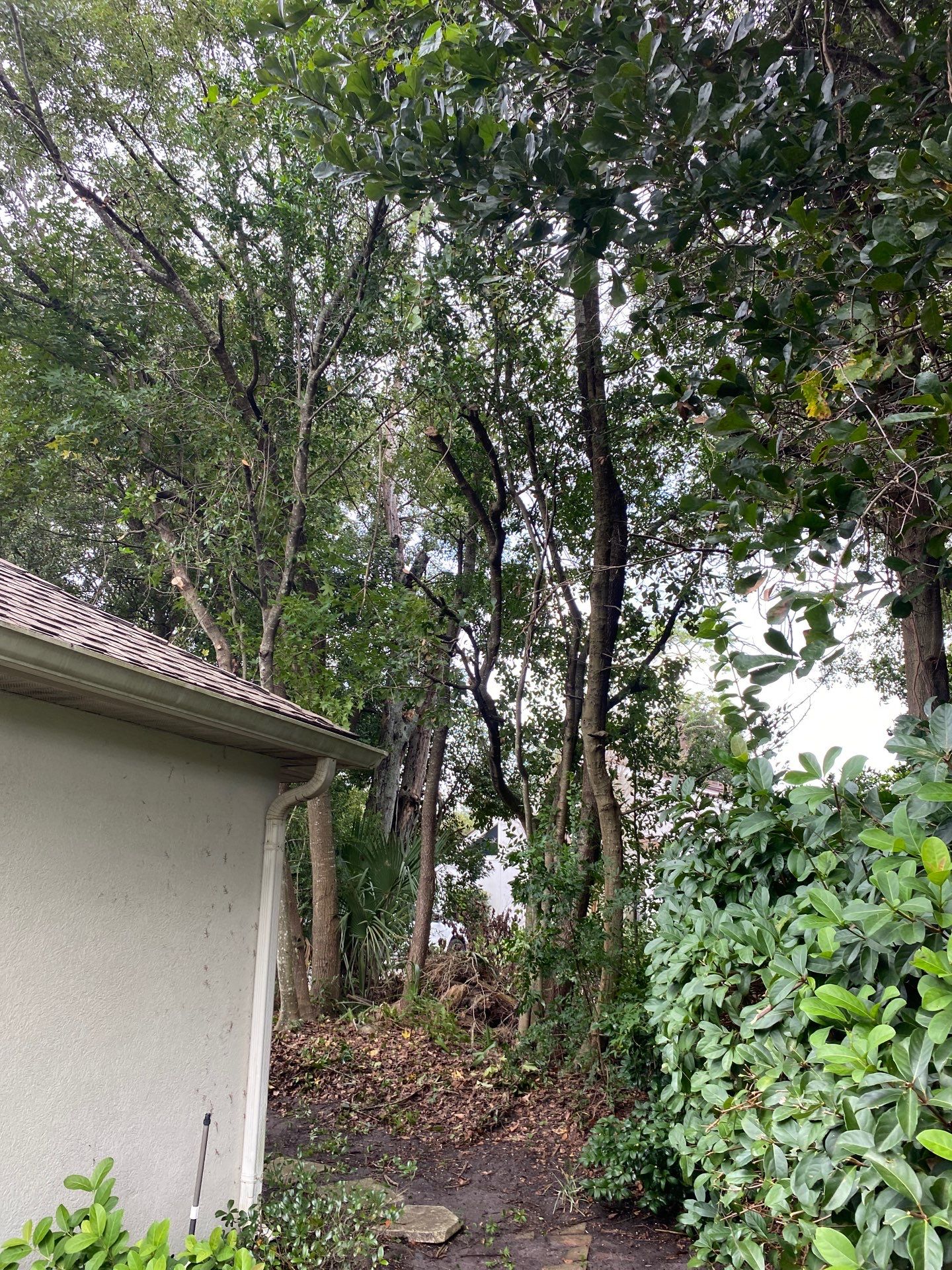 Deerwood Residence | Property Clean Up  by ProGreen Services