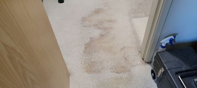 Carpet Restoration after Water Damage