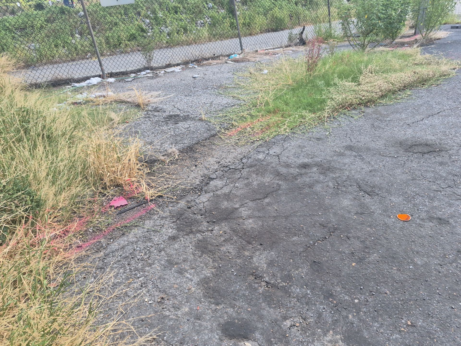 Utility Locate and Utility Mapping for Survey by Alsip Locating Service, LLC