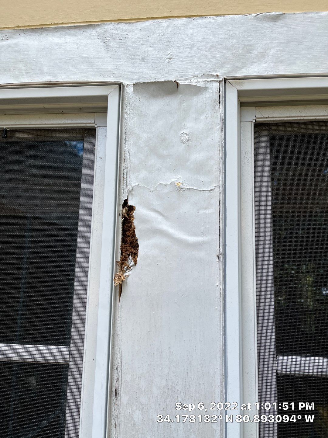 Window Trim Repair by Thompson Industrial