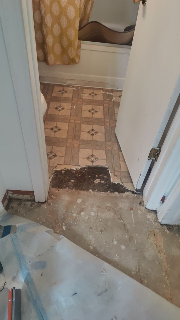 Mold Remediation by Accountable Home Services