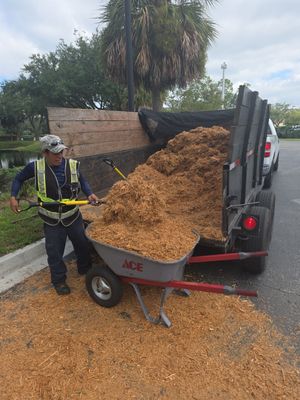 Marriott Hotel | Mulch Refresh