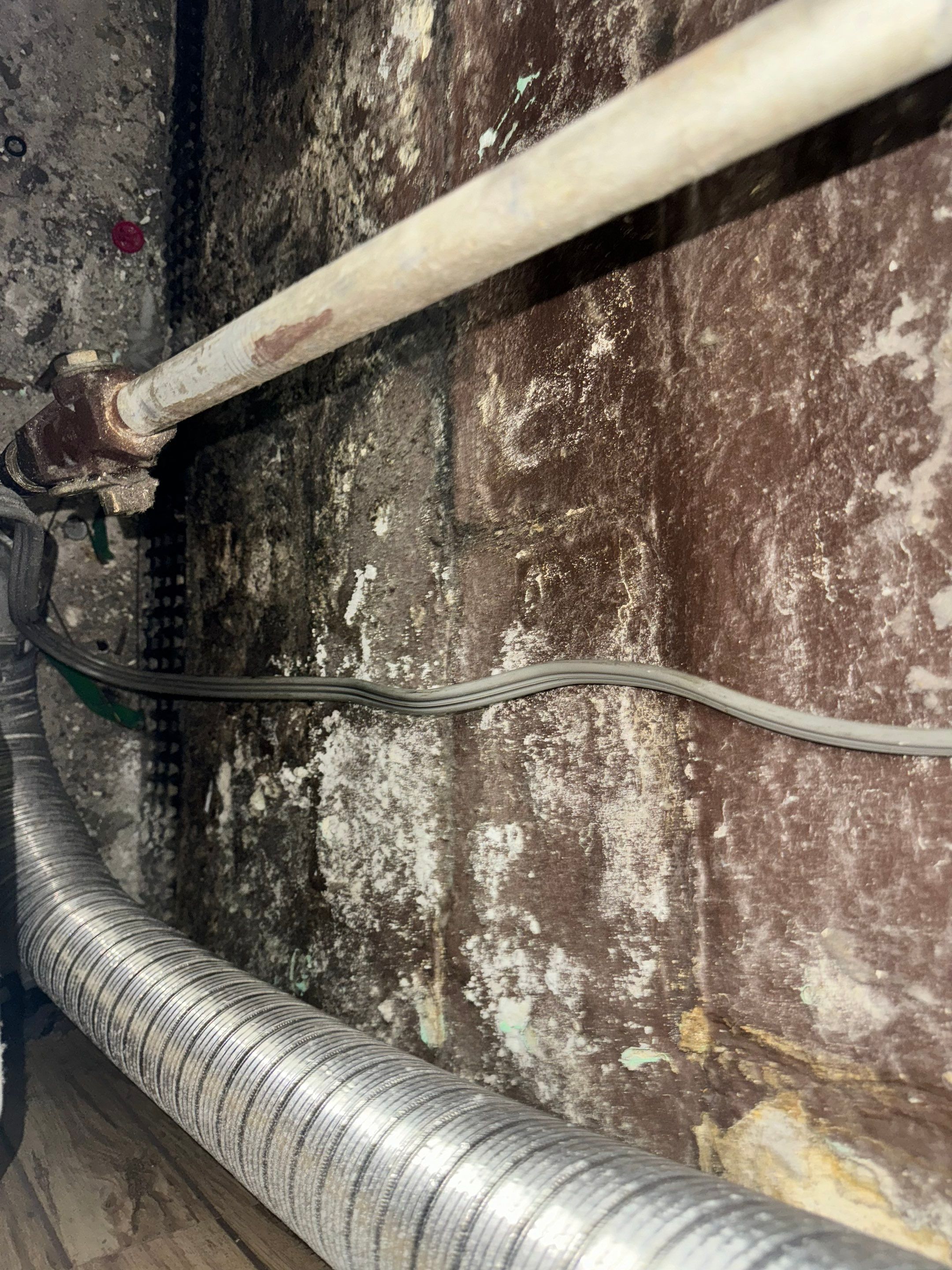 Interior French Drain West Orange NJ by Pure Service Pro, LLC 