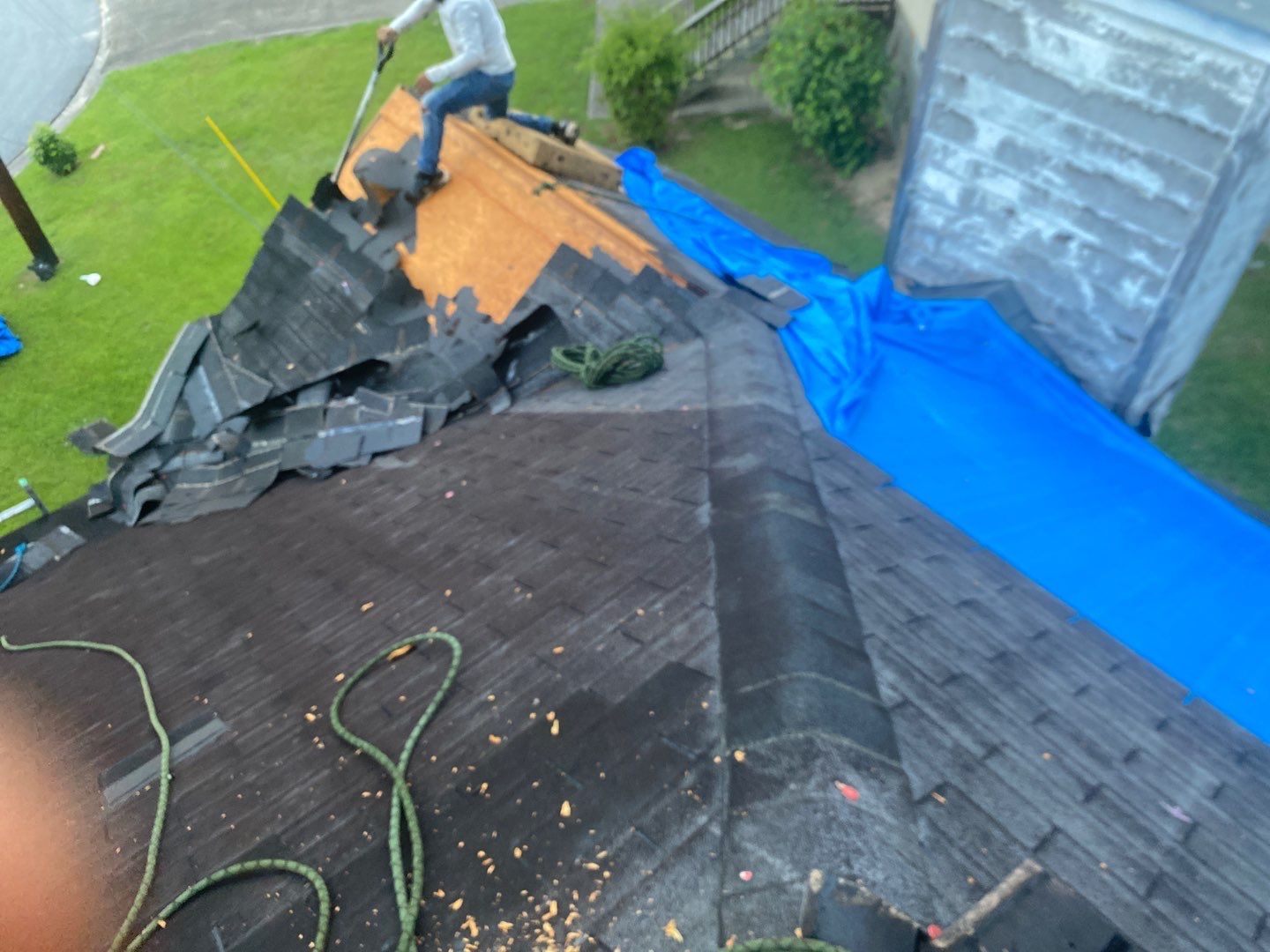 Rotten Wood by Roof Bullies