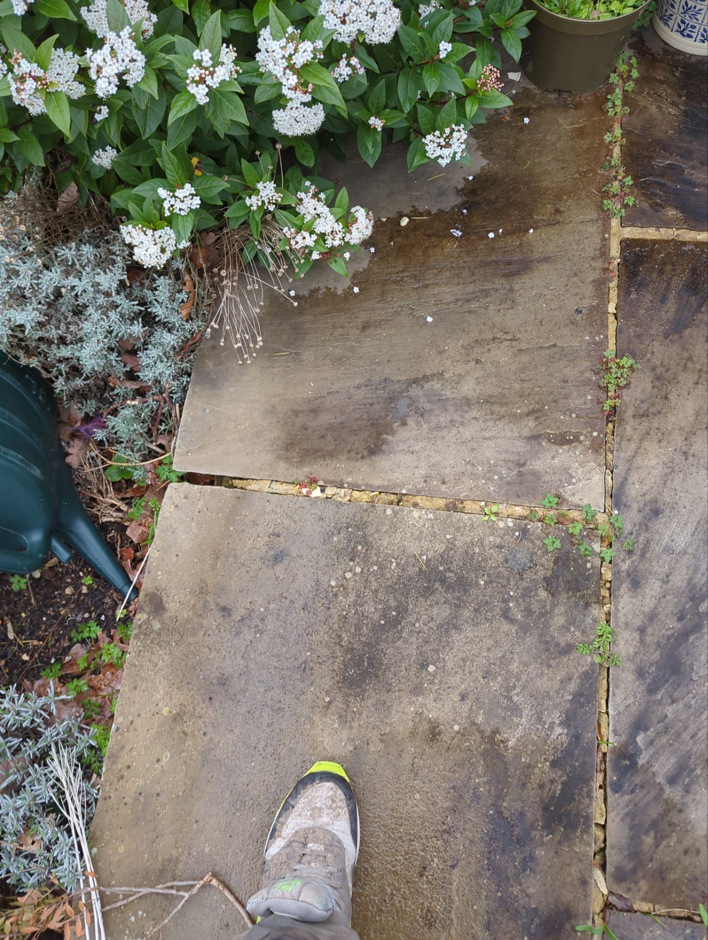 Patio Area Spring Clean using Mosmatic Flat Surface Cleaner by Ges Exterior Cleaning ltd