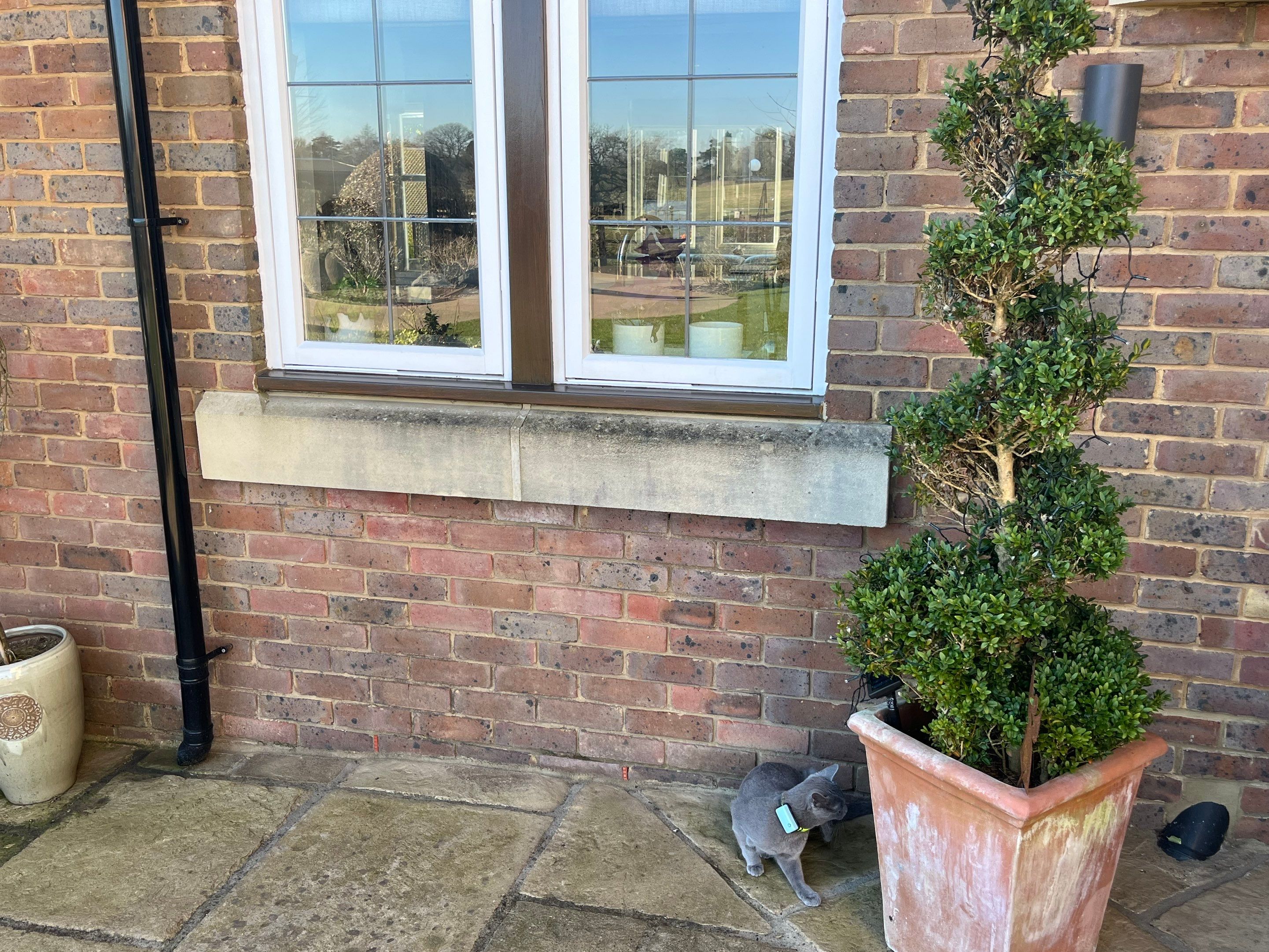 Roof Clean - Patio Clean using 18inch Whirlaway FSC by Ges Exterior Cleaning ltd