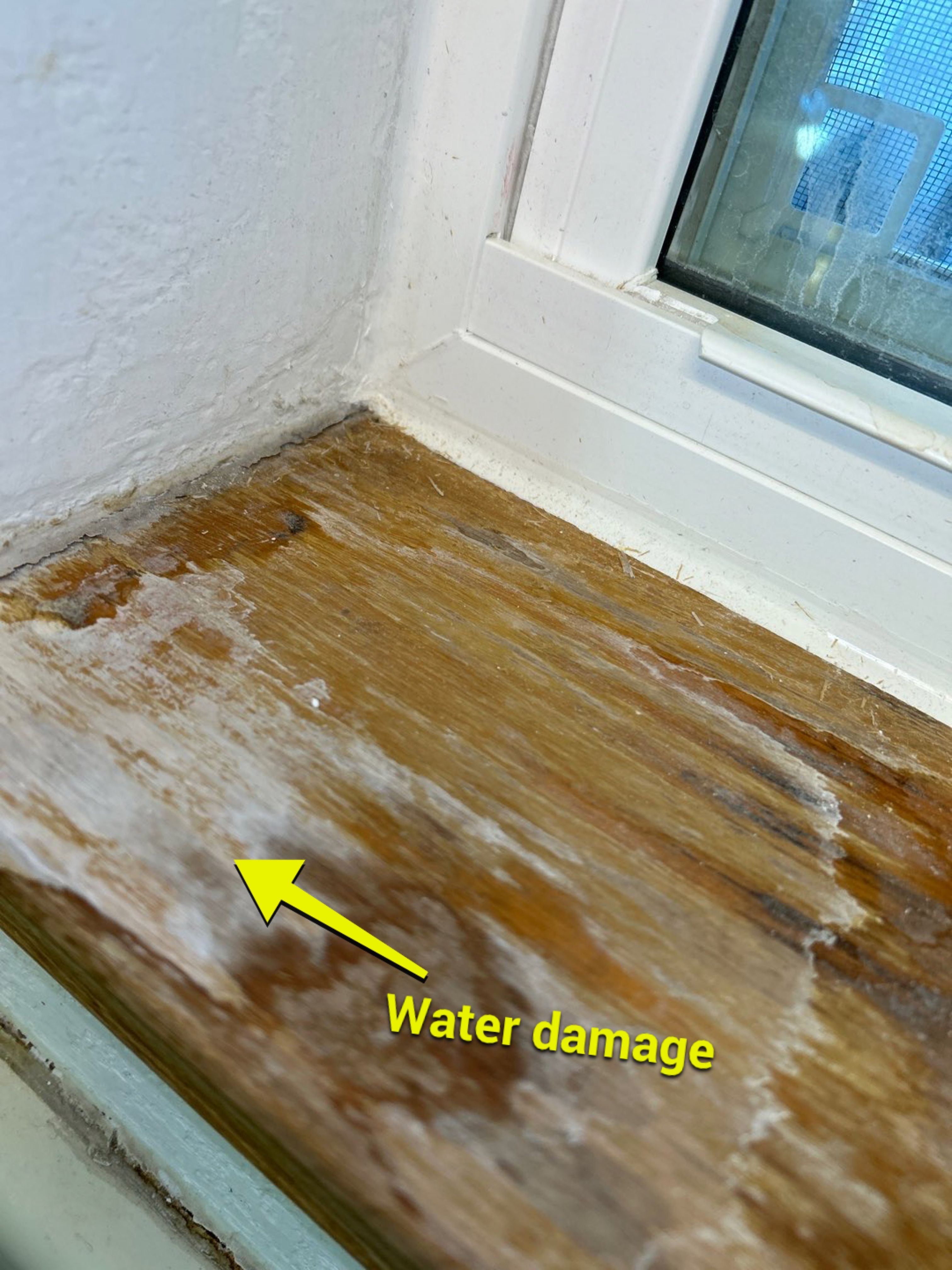 Water Damage by Accountable Home Services