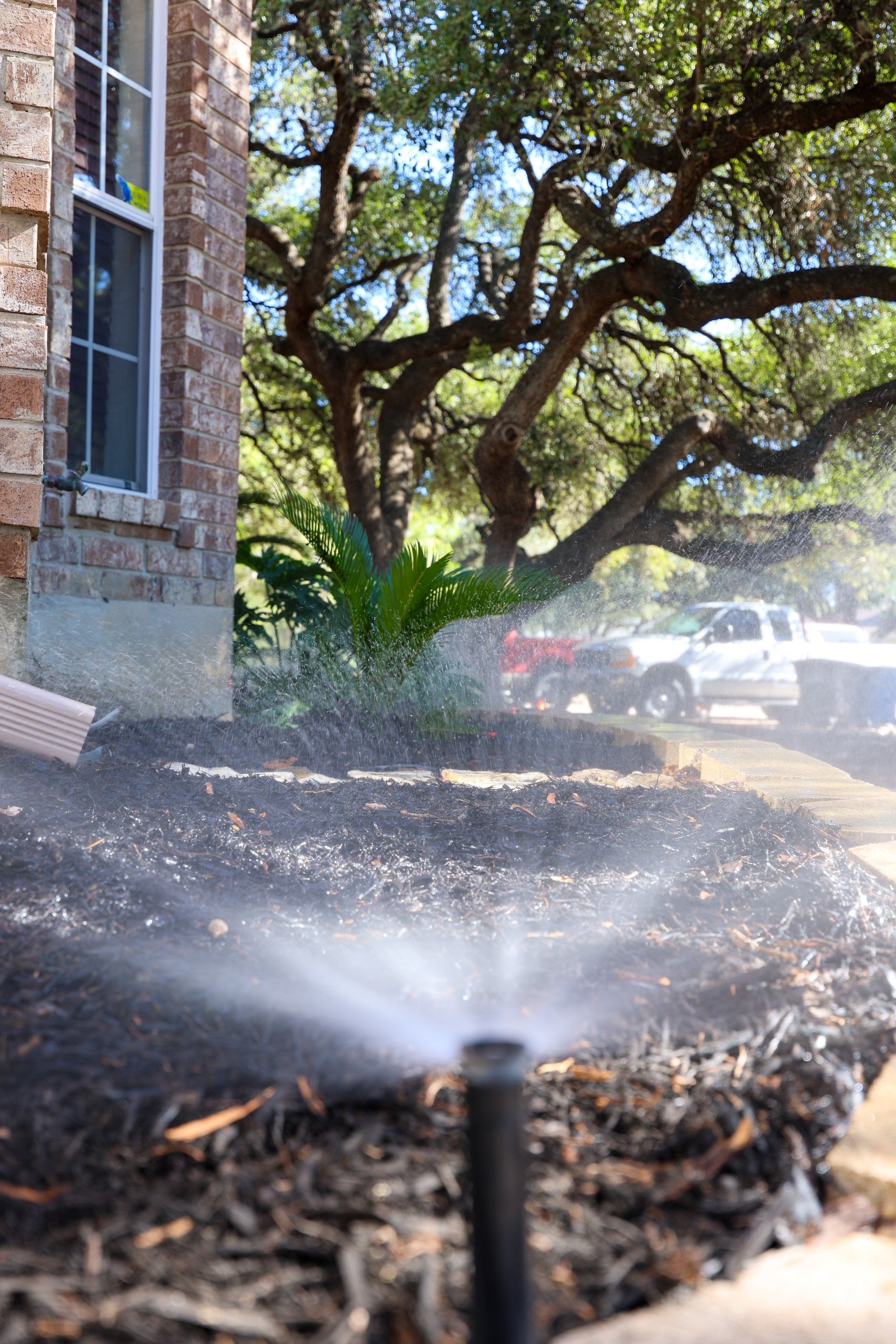 Oak Haven Heights - San Antonio, TX by Hole In One Lawns, LLC