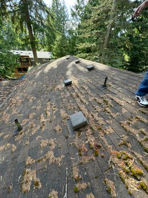 Project in Edmonds