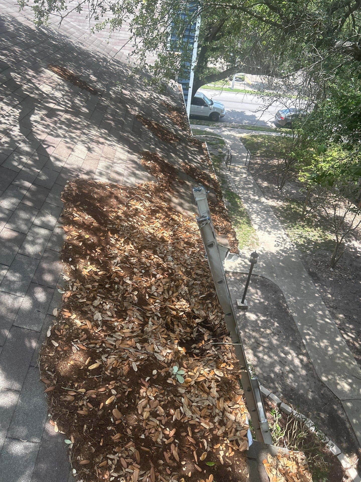 Commercial gutter cleaning Corpus Christi, TX before photo with filled gutters