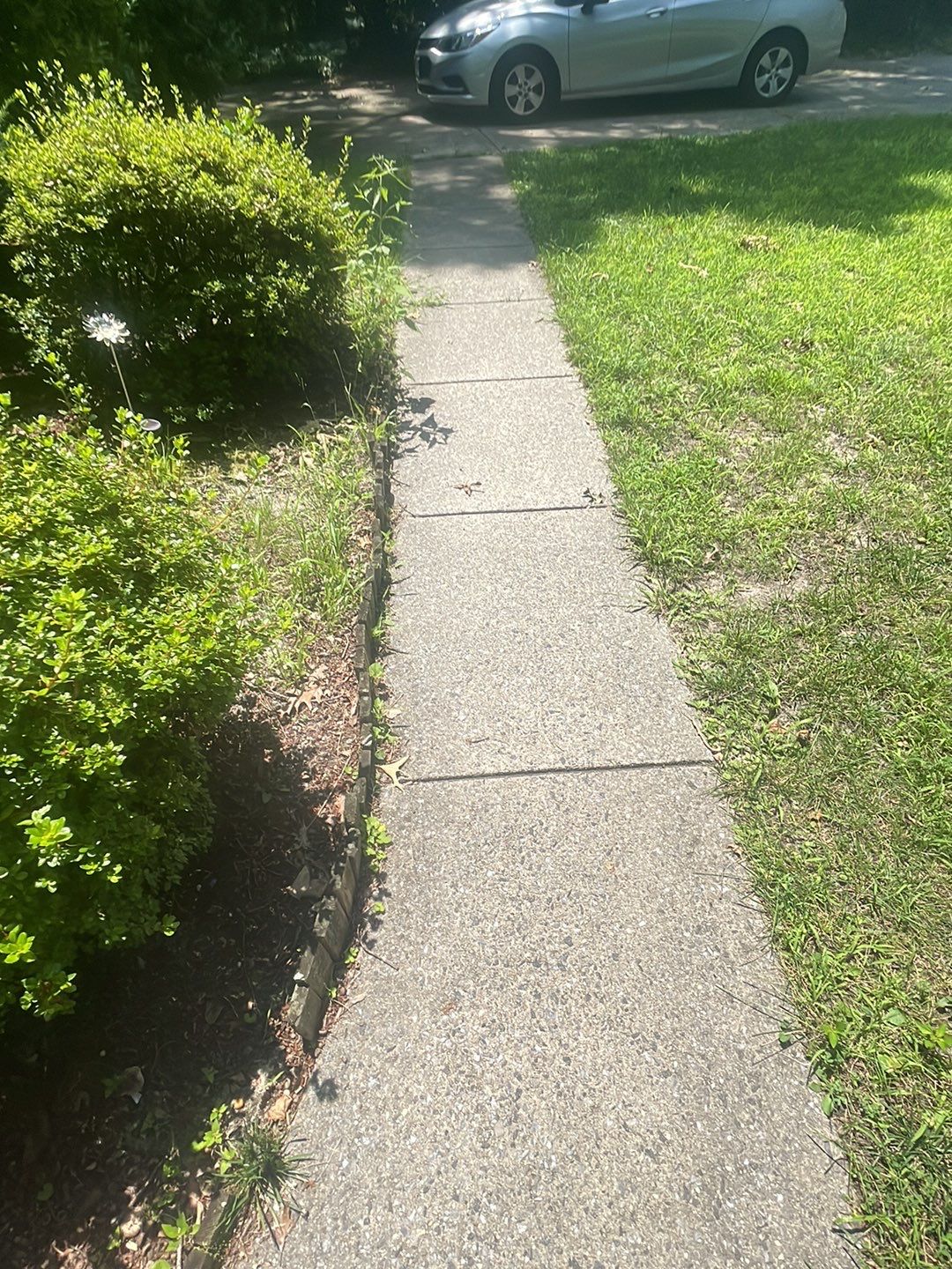 Roof Wash by SJ Exterior