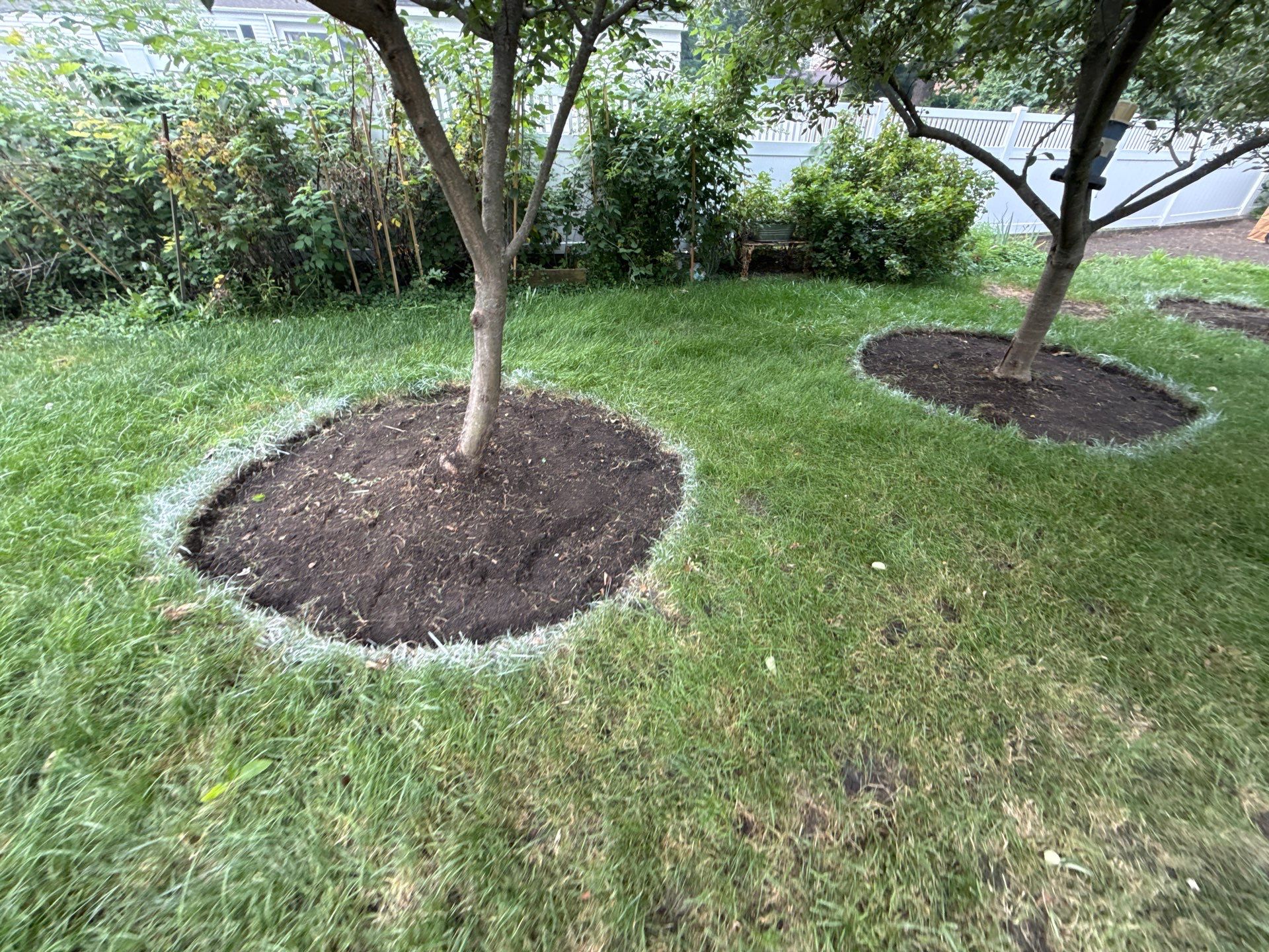 Donna L. - Arlington Heights, IL by A&N