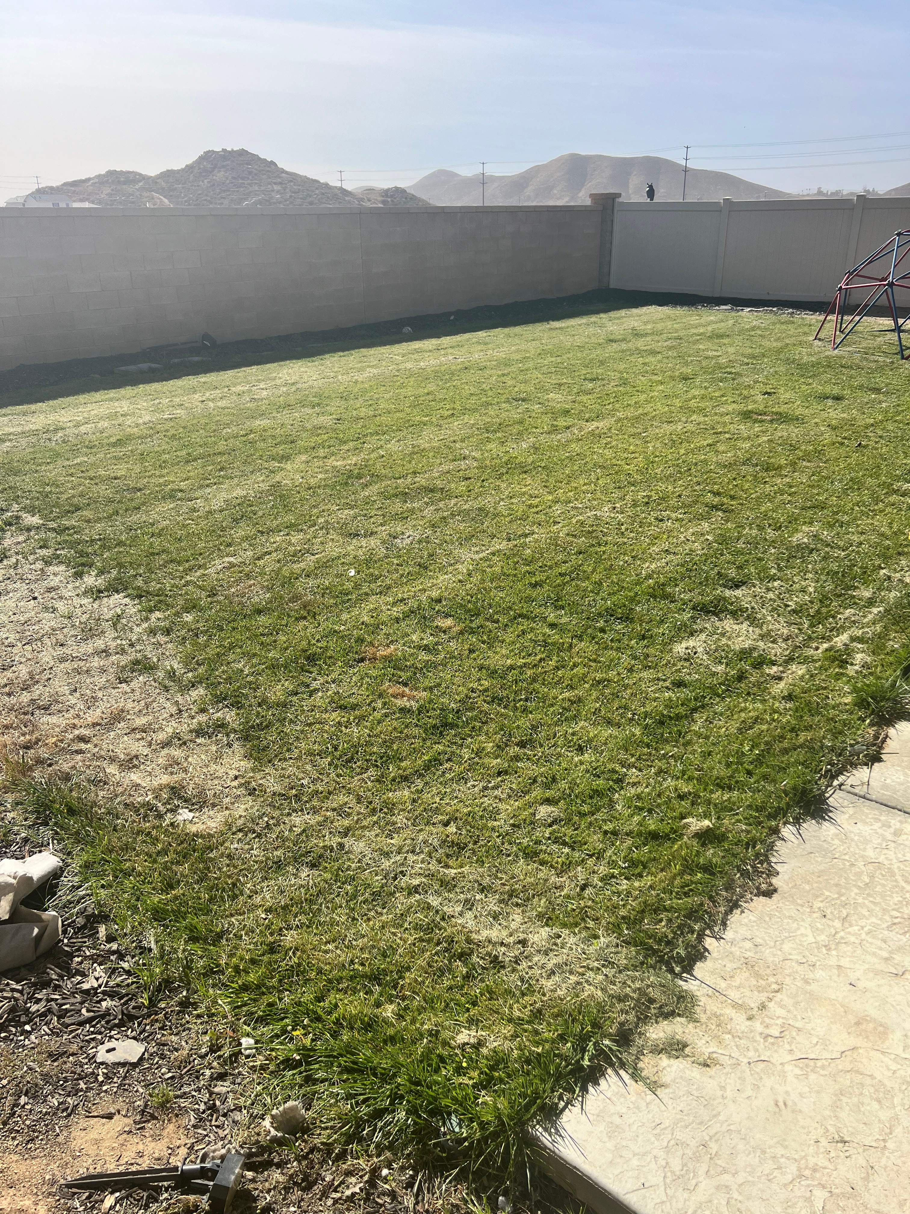 Pool and spa geometric by Premier Pools and Spas Temecula