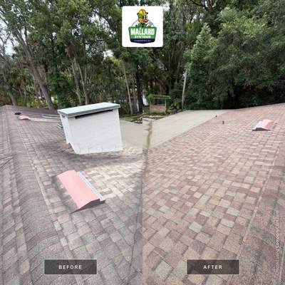 Shingle Roof Cleaning for Maitland Residence