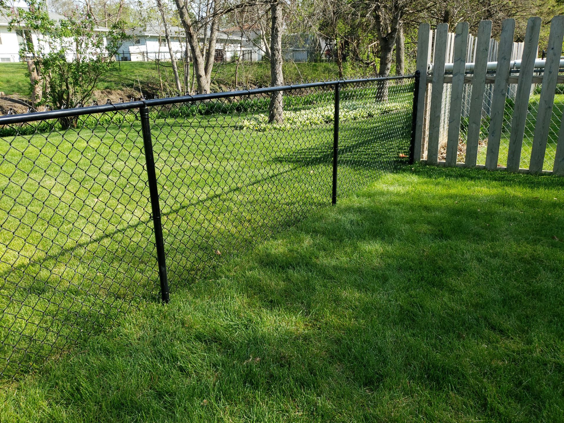 Project in Waterloo by Perfect Picket Fence and Stain