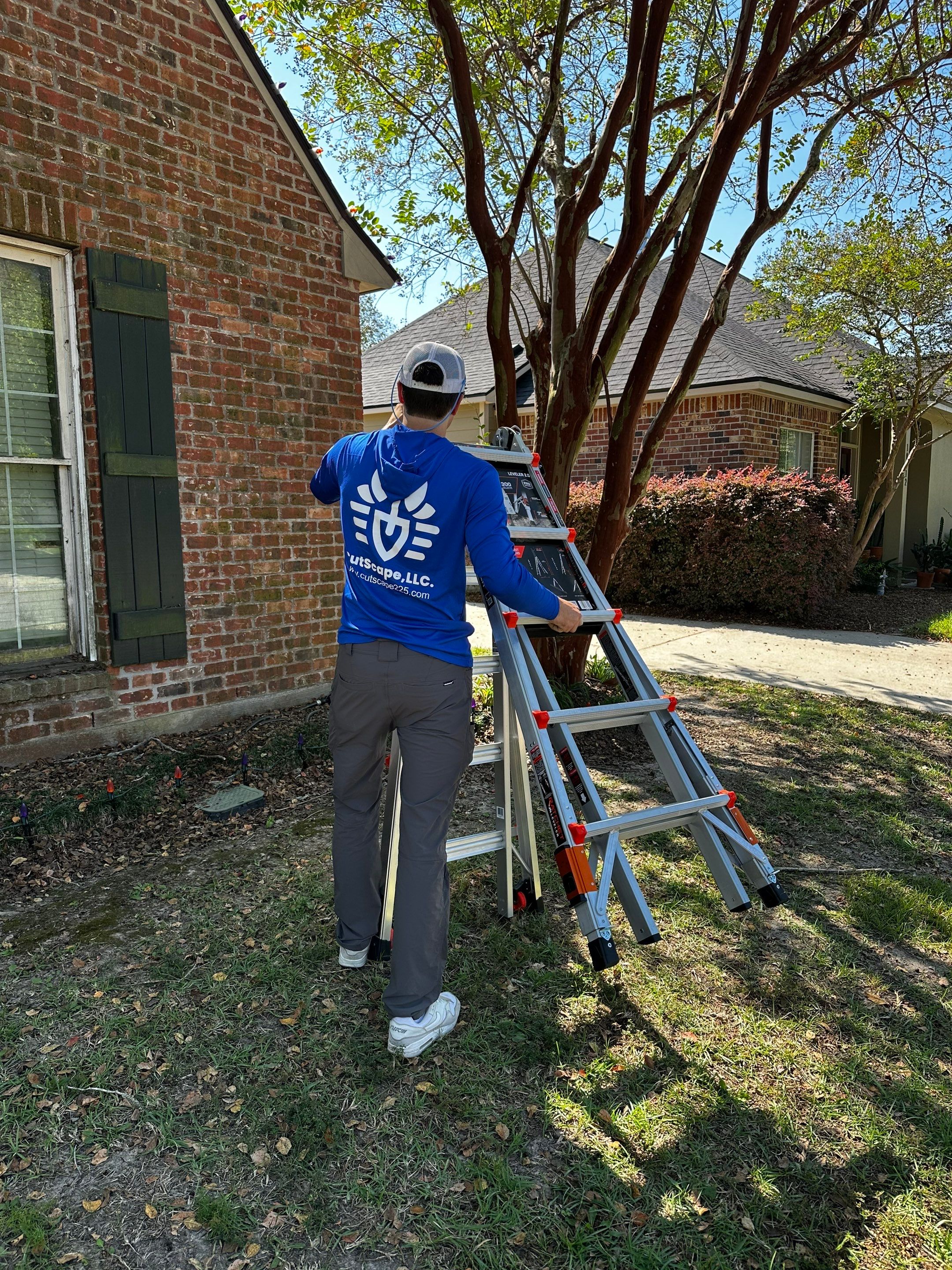 HOLIDAY LIGHTING using ROOFLINE PERIMETER LIGHTING: HALLOWEEN THEME WITH ORANGE AND PURPLE BULBS by CutScape, LLC.