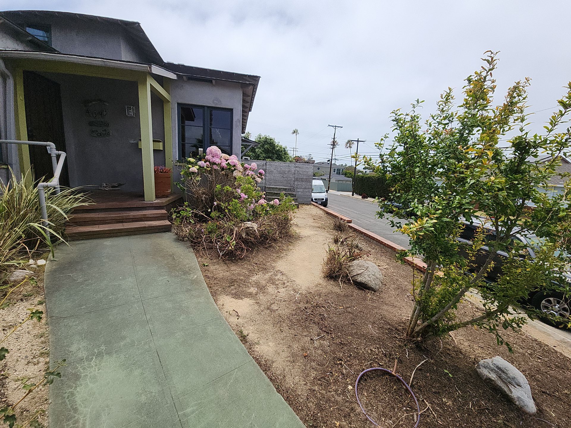 San Diego Landscape Clean Up by Yard Techs