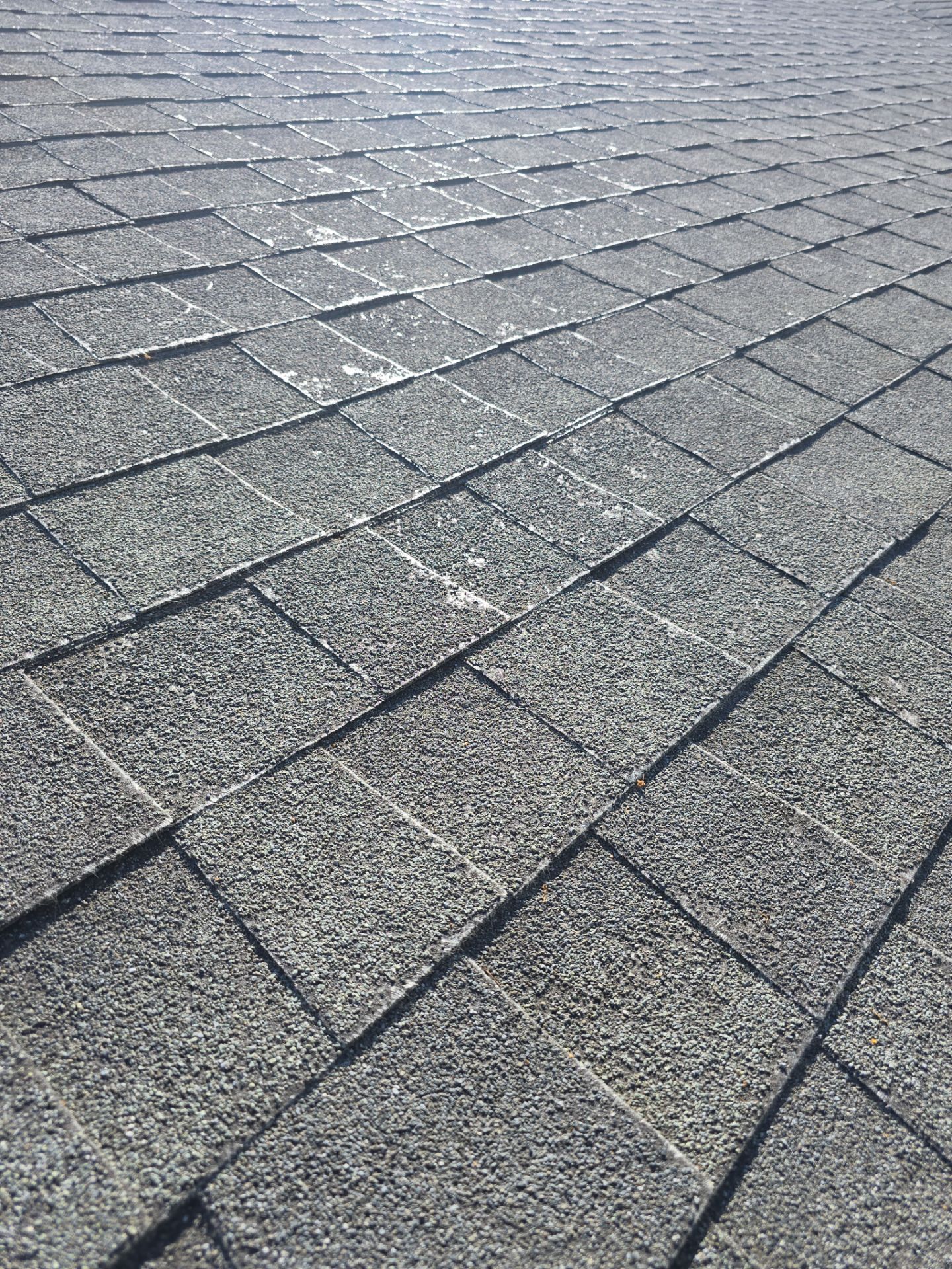 Roof Rejuvenation using Roof Maxx Treatment by Roof Maxx of Folsom